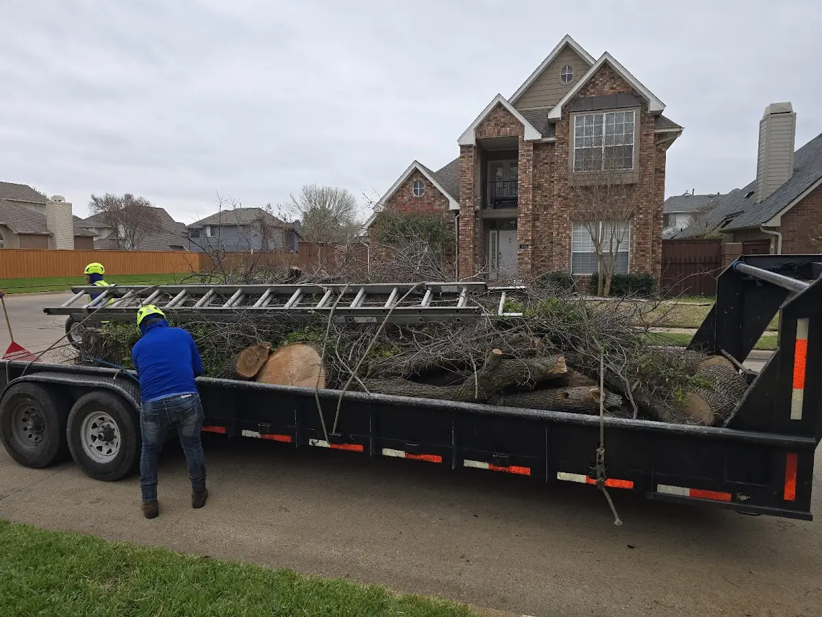 Expert Tree Fertilization with proper safety equipment in Spokane